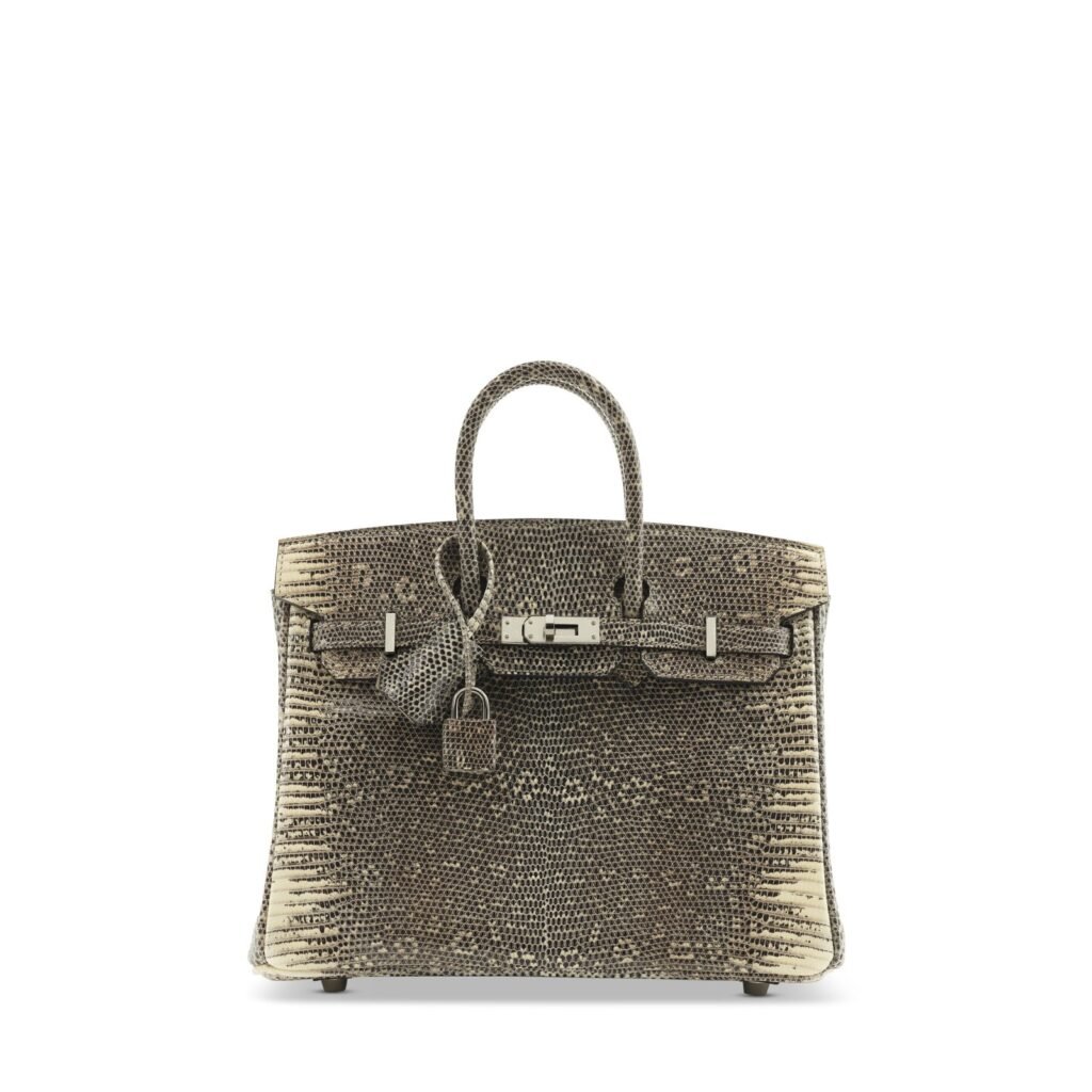 Small Birkin-style reptile-pattern handbag with silver-tone hardware, front view