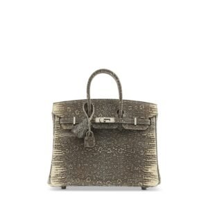 Small Birkin-style reptile-pattern handbag with silver-tone hardware, front view