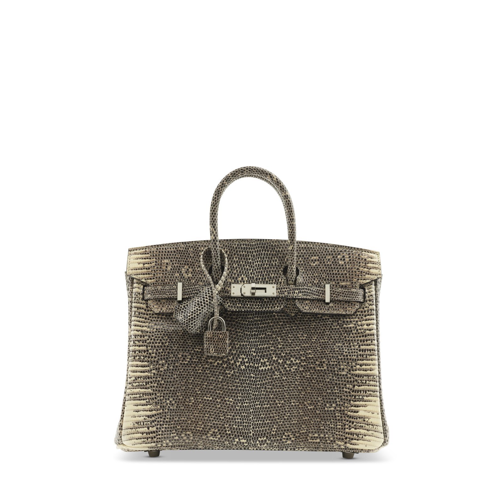 Small Birkin-style reptile-pattern handbag with silver-tone hardware, front view