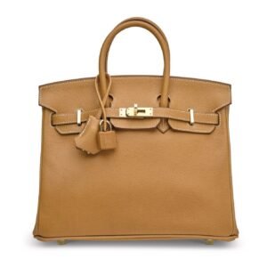 BirkinMaster Birkin 25 bag shown in a structured front view