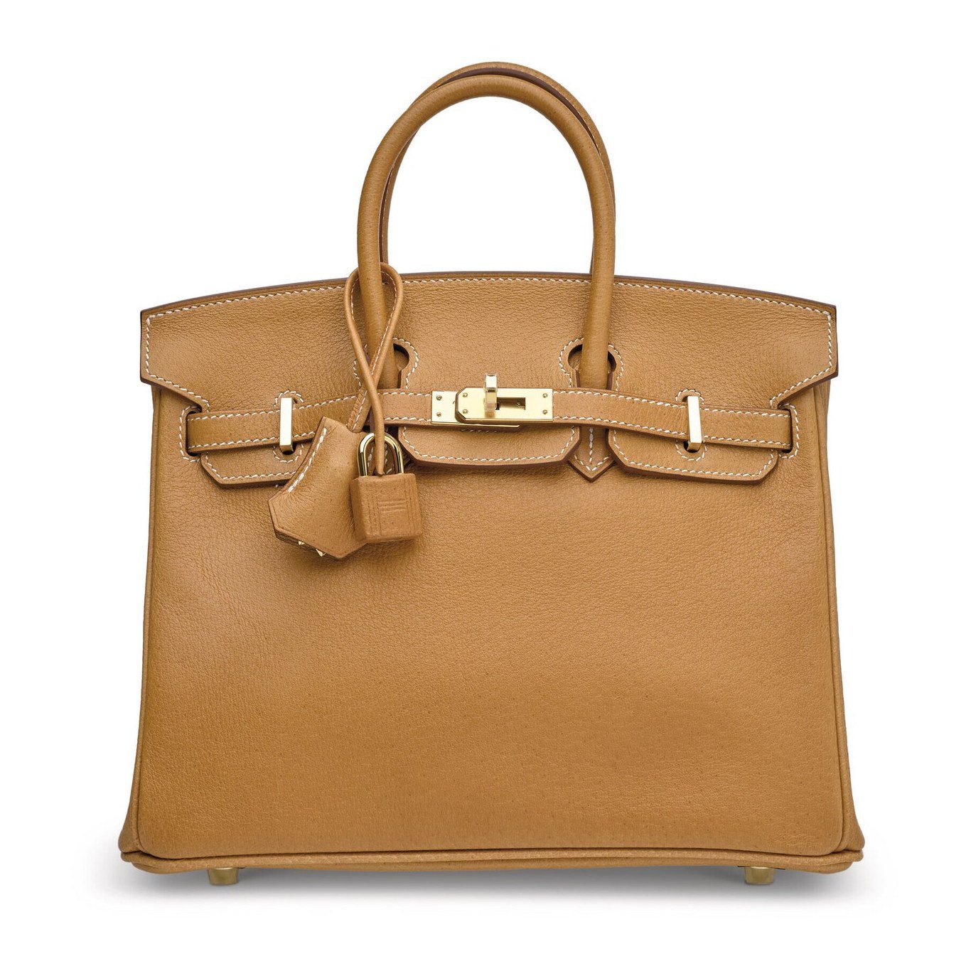 BirkinMaster Birkin 25 bag shown in a structured front view