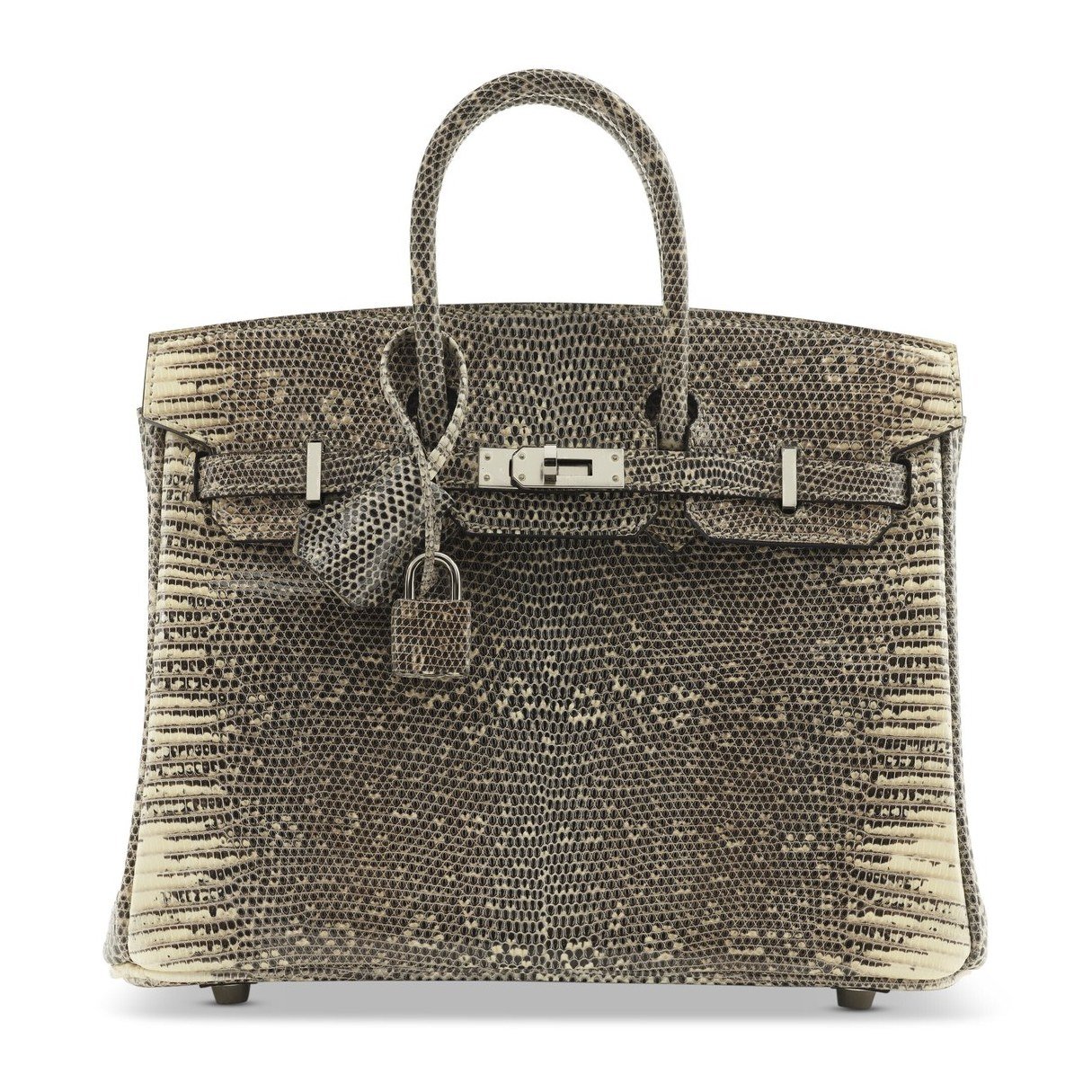 BirkinMaster Birkin bag with textured leather and silver-tone hardware