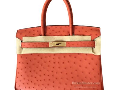 Hermès Birkin 30 Orange Poppy Ostrich GHW